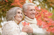 © aletia2011 - smiling senior couple   with leaf in autumn  park