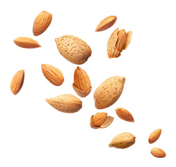 Wall Mural - Flying almonds isolated on white background