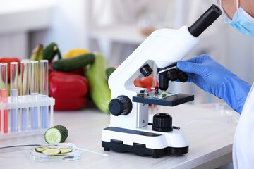 scientist inspecting cucumber with microscope in laboratory, closeup. food quality control