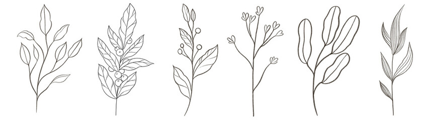 Wall Mural - Graphic trendy set with elegant contemporary group of minimal floral line art.