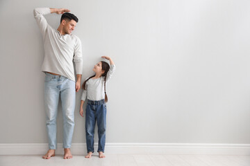 Canvas Print - Little girl and father measuring their height near light grey wall indoors. Space for text