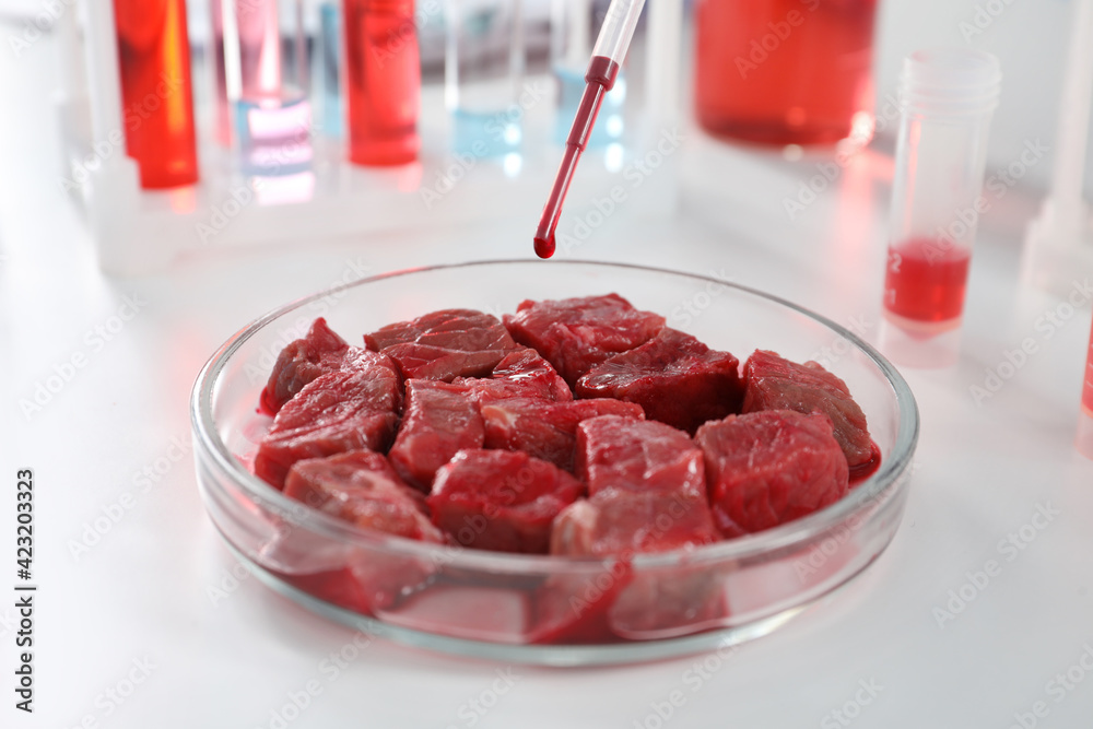 Dripping sample onto raw cultured meat on white table in laboratory, closeup - obrazy, fototapety, plakaty 