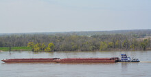 A Tug Boat Is Pushing Barges Down The Mississippi River Past Natchez, Mississippi