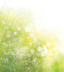 Wall Mural - vector summer, green, nature background, blossom flowers on bokeh background.