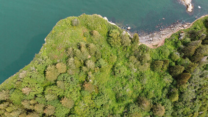 Wonderfull seascape from the sky with a forest