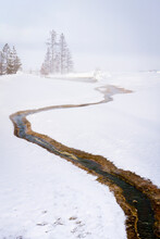 Winter Surrounds A Small Flow Of Water Heads Toward Yellowstone Lake In West Thumb Geyser Basin In Yellowstone National Park, Wyoming.     