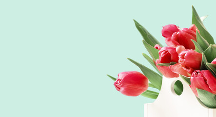 Bunch of red tulips in white box on green. Side view copy space, Birthday gift. Valentines 8 March Women's or Mothers Day celebration greeting card or border web floral banner. Spring