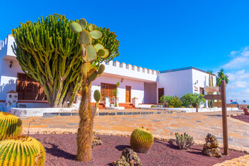 Wall Mural - Museum of Majorero cheese at Fuerteventura, Canary Islands, Spain