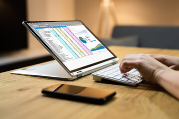 Poster - Electronic Spreadsheet Software And Auditor Analysis