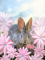 Baby bunny rabbit in idyllic Easter flower garden