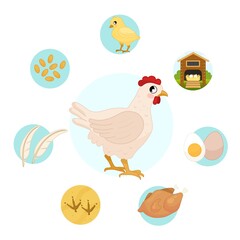 Sticker - Vector illustration of farm animals. Cute cartoon hen. Set of icons. Benefits of farm animals
