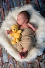 Wall Mural - Little baby, sleeping with teddy beer