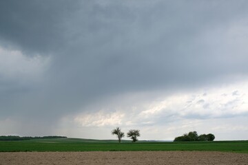 Dramatic scenery of heavy dark clouds over field with two lonely trees.