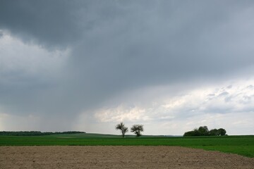 Dramatic scenery of heavy dark clouds over field with two lonely trees.