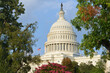 U.S. Capitol Building - Washington D.C Unied States of America