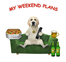 Wall Mural - A dog labrador with beer and pizza relaxes on a green. My weekend plans. White background. Isolated.