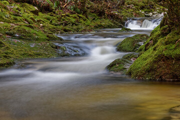 Sticker - Ruisseau des Vosges