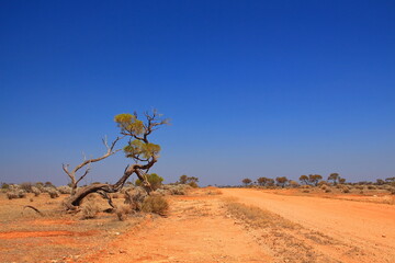 Poster - Australian outback wilderness and remoteness