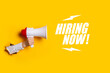 Female hand sticking out of a hole in the wall holds a megaphone on a yellow background. Added text Hiring now. Hiring concept, help wanted. Banner