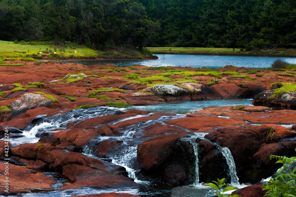 Pykara lake Maintained by the state government entity – Tamil Nadu ...