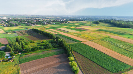 Wall Mural - the green field is at sunset shot with the drone