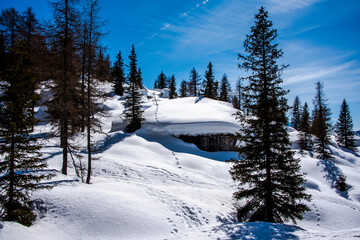 pines, snow and dolomites_7