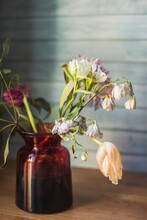 A Beautiful Fading Bouquet Of Spring Blooms And Tender Delicate Tulips In A Vase On A Blue Wooden Background
