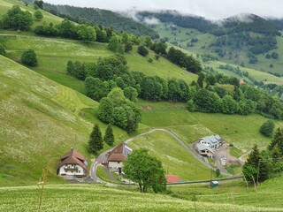 Schwarzwald