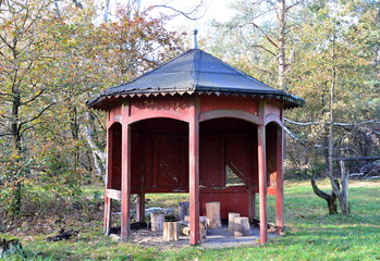 Herbst in der Tietlinger Heide, Niedersachsen