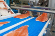 Salmon fish factory processing line detail