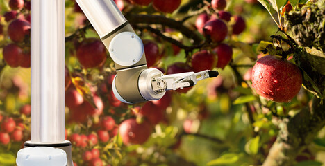 Sticker - Robot picks apples. Smart farming and digital agriculture 4.0