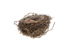 Bird's Nest With Egg Isolated