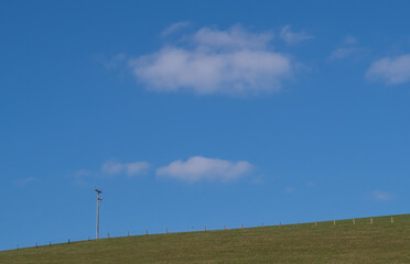 Big sky and horizon with fence and telegraph pole. Sunny day, UK.