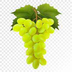 Bunch of yellow or green grapes with vine leaves isolated on transparent background. Cluster of grape. Realistic, fresh, natural food, dessert. 3d vector illustration for agriculture design.