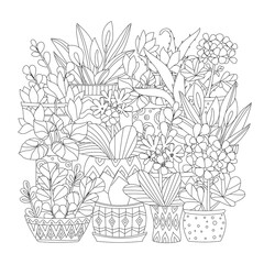 Wall Mural - lovely collection of houseplants in decorative flowerpots with g