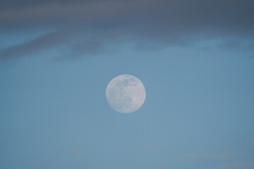 Wall Mural - Big Moon with some clouds and blue sky at the afternoon