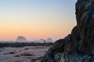 sea stacks at sunset along the coastline of olympic national park.