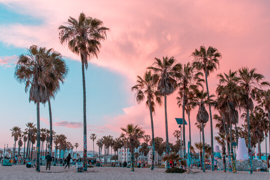 venice beach, california sunset with palm trees and buildings in pink and teal within los angeles