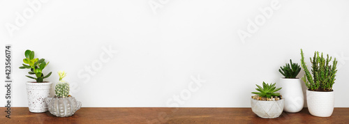 Fototapeta na szkło Indoor succulent and cactus plants on a shelf. Wood shelf against a white wall. Banner with copy space.