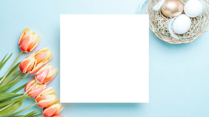 Wall Mural - Easter flat. Golden, white colour egg in basket with spring tulips, feathers on pastel blue background in Happy Easter decoration. Spring holiday top view concept.