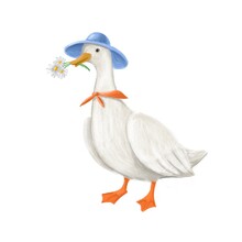 Cute Goose With Chamomiles, Hand Drawn Clipart, Children's Illustration With Cartoon Character, Card Design