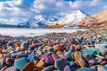 Colourful Rocks At Driftwood Beach In Waterton Lakes National Park