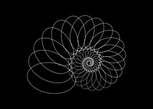 Snail Spiral Logo. Sea Shell Of White Circles. Sacred Geometry Logo Template. Logarithmic Sequences. Fibonacci Spiral Logo Design. Golden Ratio. Flower Of Life. Divine Proportion, Isolated On Black