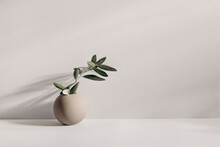 Modern Summer Still Life Photo. Beige Ball Shaped Vase With Green Olive Tree Branch In Sunlight With Long Shadows.Beige Table Wall Background. Empty Copy Space. Elegant Lifestyle Mediterranean Scene.
