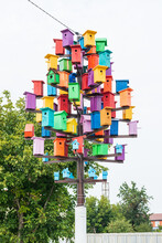 Birdhouses, Bird Houses Are Installed In The Center Of The City Of Krymsk, Krasnodar Territory