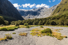 Gertrude Valley With Gertrude Saddle Track In Fiordland National Park, South Island, New Zealand