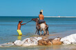 Teenagers and horses playing in the sea to cool down on a hot day. Young people having fun. Clear blue sky and calm water.