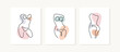 © missbobbit - Woman body posters. Beautiful female shapes. One line vector illustration.