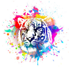  tiger head illustration color art