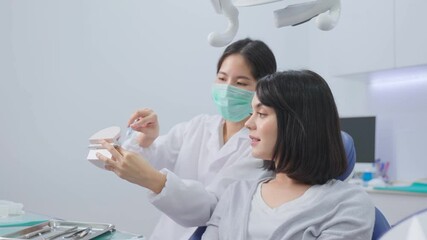 Wall Mural - Caucasian girl listening orthodontist explaining about tooth brushing.